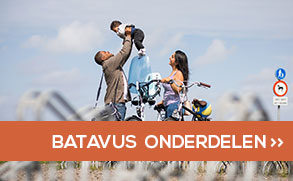 Bekijk alle Batavus onderdelen!