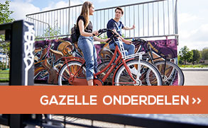 Bekijk alle Gazelle onderdelen!